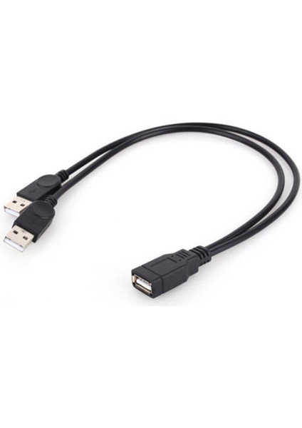 Yeni USB 2.0 1 Dişi - 2 Erkek Y-Splitter Data Sync Şarj Uzatma Kablosu (Yurt Dışından)