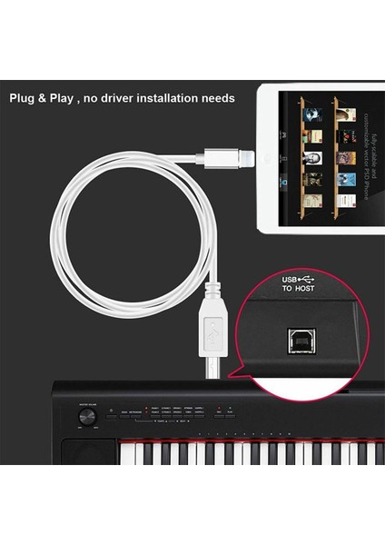 iPhone 7 8 x iPad Için Lightning To Type-B Mıdı Klavye Dönüştürücü USB 2.0 Kablosu (Yurt Dışından)
