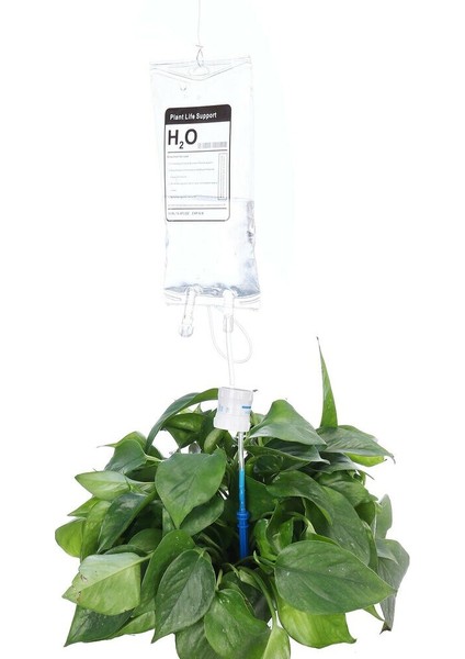 Bahçe Otomatik Damla Sulama Cihazı Otomatik Sulama Sistemi Bahçe Aracı 350 ml Bitki Yaşam Desteği Damla Ev Tesisi (Yurt Dışından) indirimleri