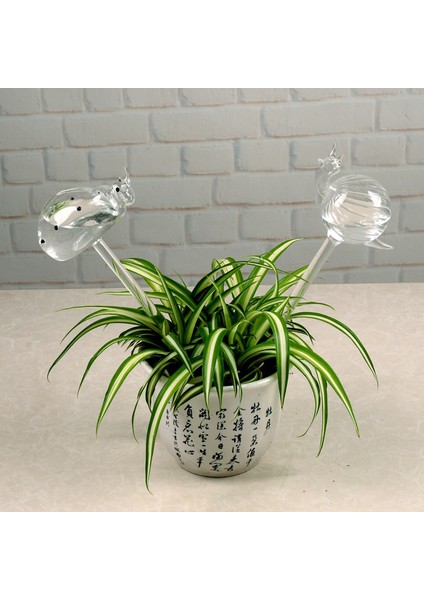 Bitki Otomatik Kendi Kendine Sulama Cihazı Cam Yağmurlama Bahçe Çiçek Konteyneri Conbo (Yurt Dışından) modelleri