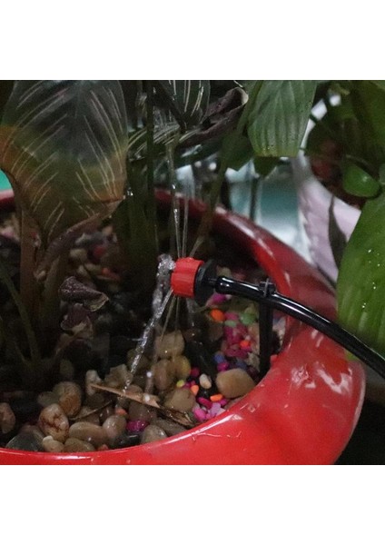 M Diy Otomatik Mini Damla Sulama Sistemi Tesisi Sulama Bahçe Hortumu Kitleri Ayarlanabilir Damlatıcı Akıllı Denetleyici Takım Elbise (Yurt Dışından) fırsatları