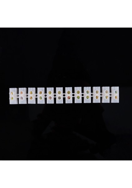 60 Amp - 12 Yollu Şerit Terminal Bloğu Şerit - Tel Konnektör AMP:60A Konnektör Bloğu (Yurt Dışından)