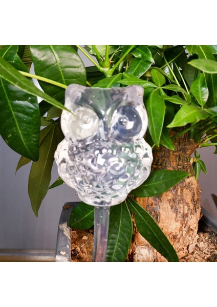 Wate Bu,6'lı Paket Tic F-Wate G, (Yurt Dışından) indirimleri