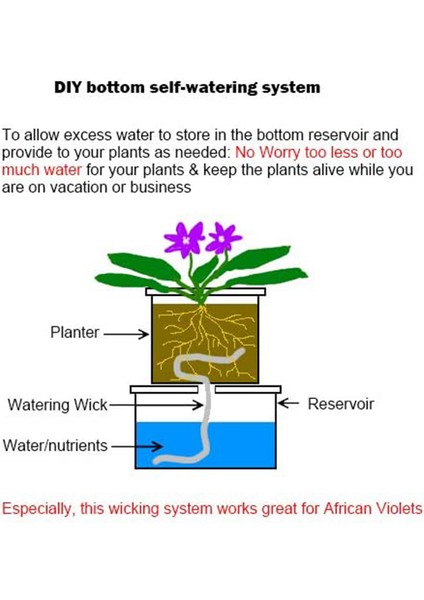 Kendi Kendine Sulanan-1 * Fitil Kordon-Beyaz (Yurt Dışından) modelleri