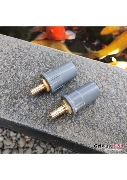 Koi'den 1/2'ye (Yurt Dışından) modelleri