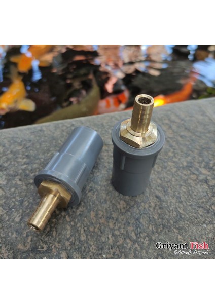 Koi'den 1/2'ye (Yurt Dışından) fırsatları