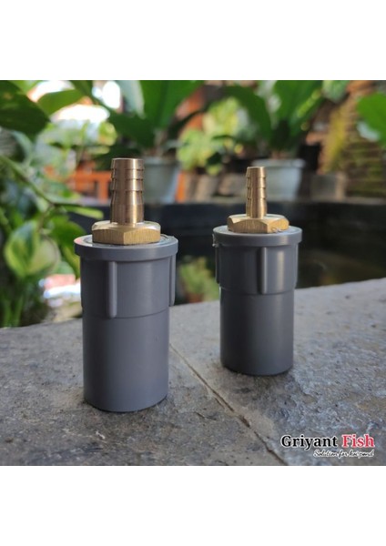 Koi'den 1/2'ye (Yurt Dışından) indirimleri