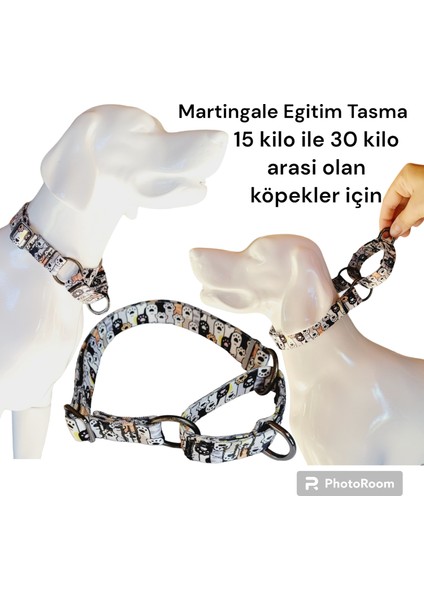 Martingale Eğitim Tasma. Martingale dog collar