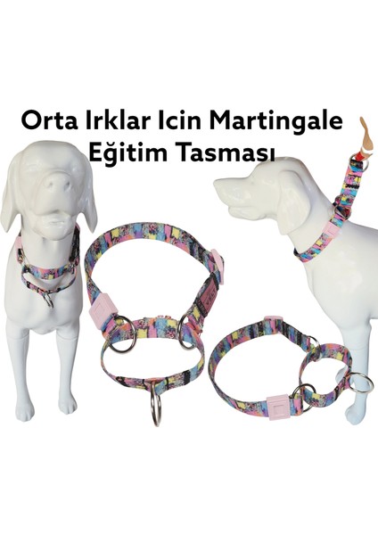 VSLT Handmade Martingale Eğitim Tasma. Martingale dog collar