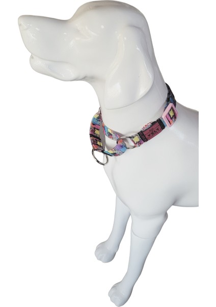 VSLT Handmade Martingale Eğitim Tasma. Martingale dog collar