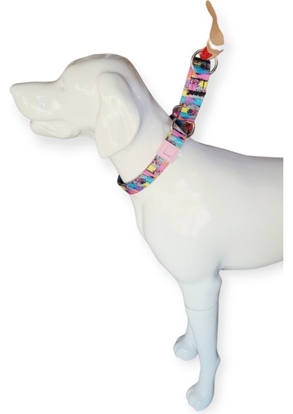 VSLT Handmade Martingale Eğitim Tasma. Martingale dog collar