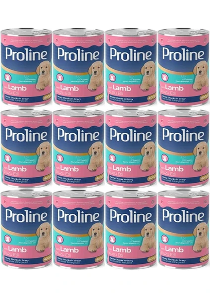 Pro Line Proline Kuzu Etli Yavru Köpek Konservesi 400 gr