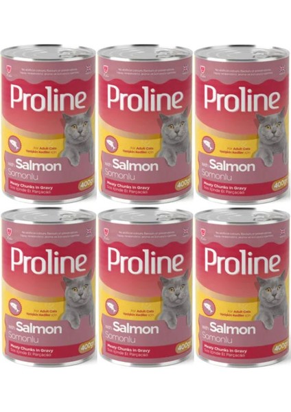 Proline Somonlu Yetişkin Kedi Konservesi 400 Gr*6 Adet