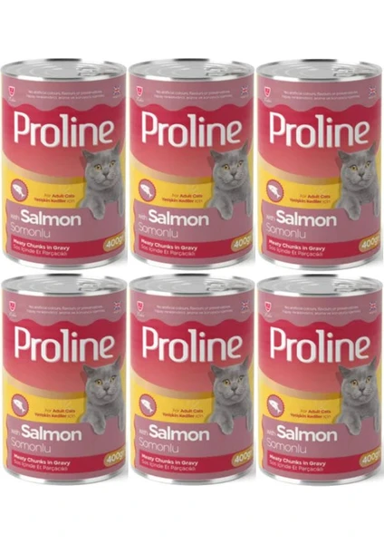 Pro Line Proline Somonlu Yetişkin Kedi Konservesi 400 Gr*6 Adet