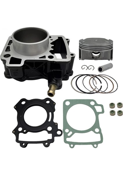 Bajaj Pulsar RS 200 Silindir Piston Takımı