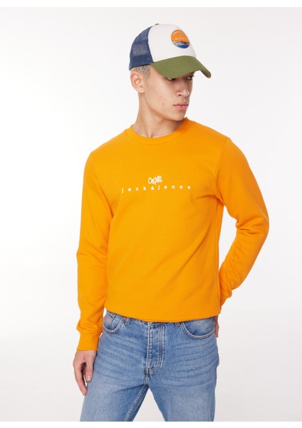 Bisiklet Yaka Turuncu Erkek Sweatshırt 12261180_JORSILVERLAKE Sweat Crew fiyatları