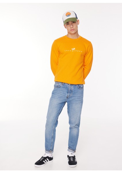Bisiklet Yaka Turuncu Erkek Sweatshırt 12261180_JORSILVERLAKE Sweat Crew modelleri