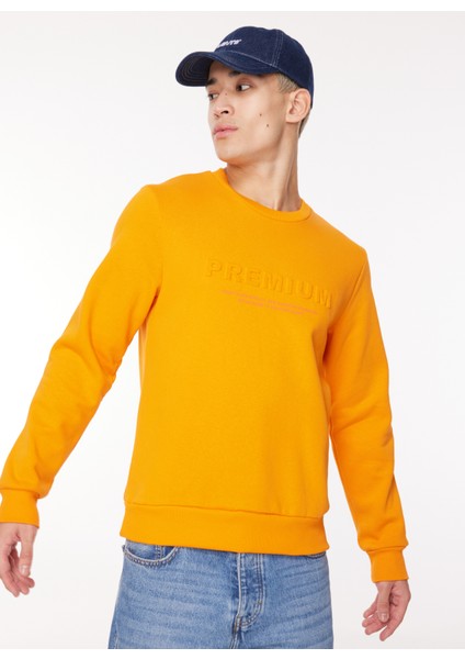Bisiklet Yaka Turuncu Erkek Sweatshırt 12261175_JPRBLULOGO Sweat Crew Exc fiyatları