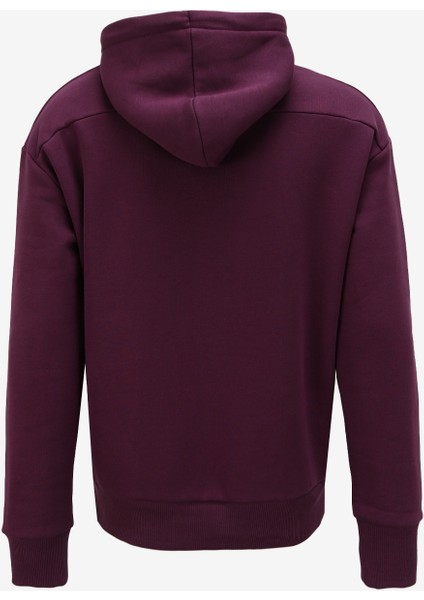 Kapüşon Yaka Mor Erkek Sweatshırt K10K111820VDS fiyatları