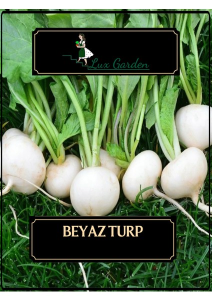 Lux Garden Beyaz Turp Tohumu 120 Adet