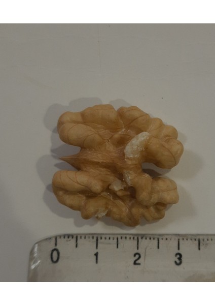 Çerezlik Sofralık Jumbo Iç Ceviz 500GR