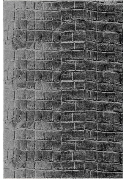 Dijital Salon Halısı Trend Keçe Kaymaz Taban Modern Blaithin Gri fiyatları