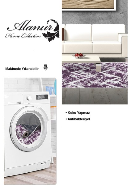 Dijital Salon Halısı Star Pamuk Kaymaz Taban Iskandinav Roxanne Mor modelleri