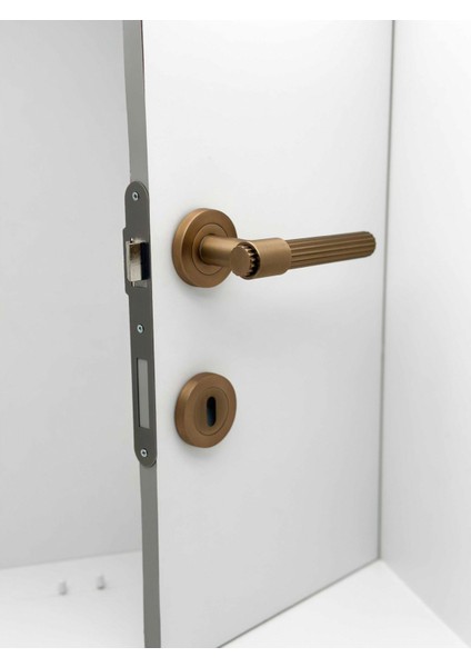 Erva Handles ZK79 Mat Antik Sarı Rozetli Yale Çelik Kapı Kolu 1 Takım