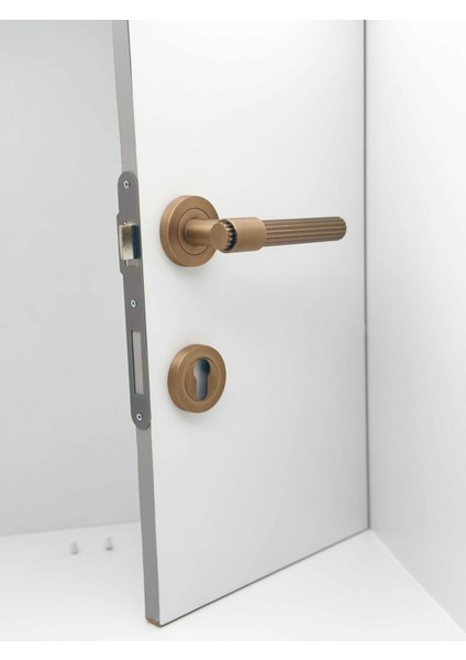Erva Handles ZK79 Mat Antik Sarı Rozetli Yale Çelik Kapı Kolu Sol Basar Tek Yön