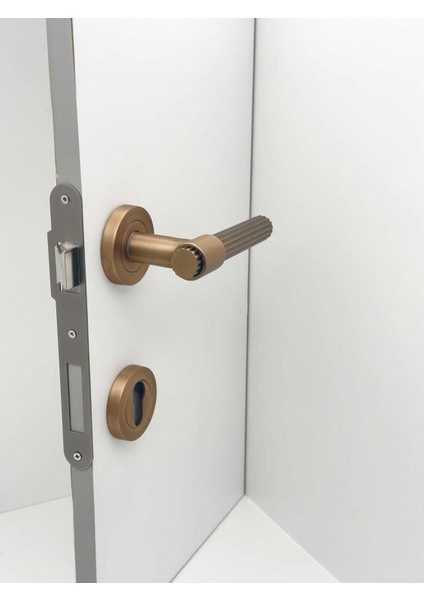 Erva Handles ZK79 Mat Antik Sarı Rozetli Yale Çelik Kapı Kolu Sol Basar Tek Yön