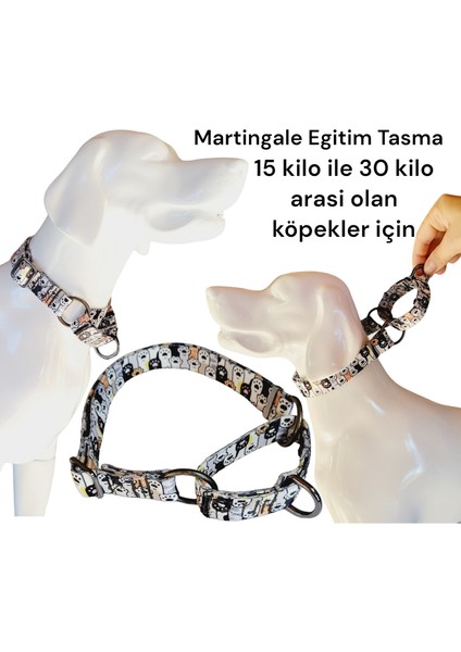 Martingale Eğitim Tasma. Martingale Tasma 30 Kıloya Kadar Olan Köpekler Içindir