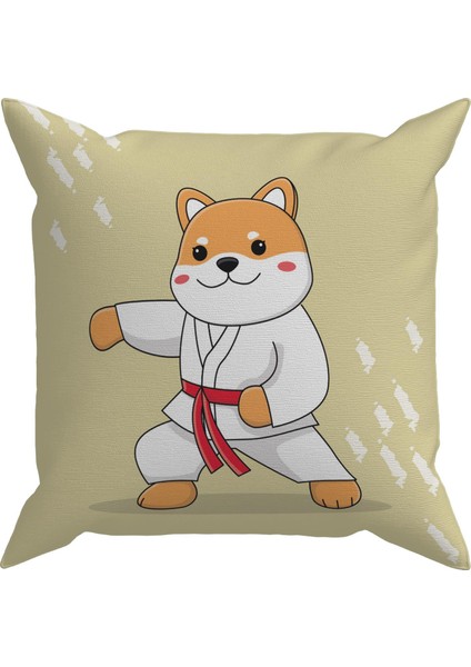 Bebek Çocuk Odası Yastıklı Kırlent Kılıf 2'li DS19 30X30 cm modelleri