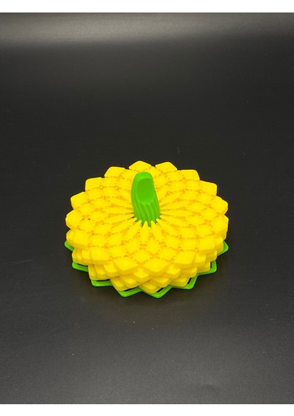 KemX3D 4'lü Dekoratif Bardak Altlığı fiyatları