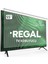 Regal 55R66QA11 Ekran Koruyucu - Regal 55" Inç QLED 139 Ekran Koruma Paneli 1
