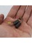 Çift Motorlu Karbon Fırçalar 13MM x 8mm x 5mm Açı Öğütücü Orbital Zımpara Için Evrensel Alet Yedek Parçaları (Yurt Dışından) 4