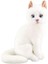 Peluş Oturan Kedi 22 cm - Mavi Su Dünyası 1