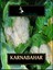 Karnabahar Tohumu 8 Adet 1