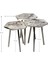 3 LÜ ZİGON SEHPA Vionessa Furniture HEXAGON COFFE TABLE METAL P20 LEGS COVE SILVER EFE 1