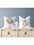 Bebek Çocuk Odası Yastıklı Kırlent Kılıf 2'li DS36 30X30 cm 1