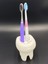 KemX3D Dental - Diş Fırçalık Veya Kalem Kutu 1