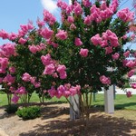 Büyük Sezon İndirimi