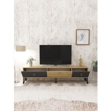 Secen London AR-12078 Holly Tv Ünitesi Antrasit / Safir