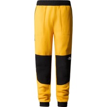 The North Face M Denali Pant
