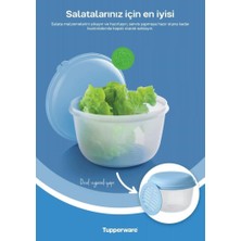 Tupperware Izgaralı Şeker Kap 1.9 Lt Saklama Meyve Sebze Saklama Servis Ürünü R1492