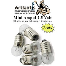 Artlantis Mini Ampul 2,5 Volt 5 Adet 1 Paket Küçük Elektrik Deney Ampulü 2.5 V Okul Sınıf Elektrik Devre Deney Ampulü