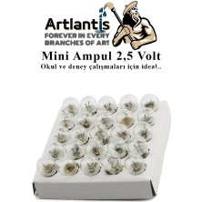 Artlantis Mini Ampul 2,5 Volt 5 Adet 1 Paket Küçük Elektrik Deney Ampulü 2.5 V Okul Sınıf Elektrik Devre Deney Ampulü