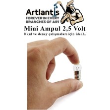 Artlantis Mini Ampul 2,5 Volt 5 Adet 1 Paket Küçük Elektrik Deney Ampulü 2.5 V Okul Sınıf Elektrik Devre Deney Ampulü