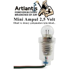 Artlantis Mini Ampul 2,5 Volt 5 Adet 1 Paket Küçük Elektrik Deney Ampulü 2.5 V Okul Sınıf Elektrik Devre Deney Ampulü