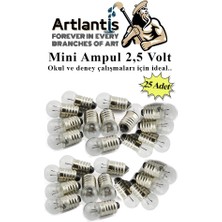 Artlantis Mini Ampul 2,5 Volt 25 Adet 1 Paket Küçük Elektrik Deney Ampulü 2.5 V Okul Sınıf Elektrik Devre Deney Ampulü