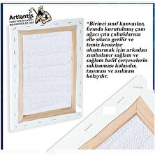 Artlantis Guaj Boya Hobi Boyama Seti 1 Paket 35X50 cm Tuval 12 Li Guaj Boya Tüp Resim Paleti Fırça Seti 6 Lı